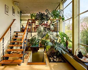 Verblijf 0151947 - Vakantie appartement Amsterdam eo - Pension Homeland