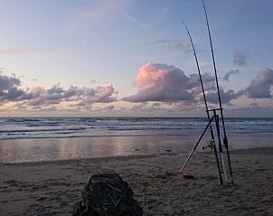 Meeuwen op het strand van Oost-Vlieland, nabij De Hagedis vakantiehuis, Vlieland, Waddeneilanden.