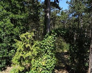 Bloemrijke tuin van Studio Arma, vakantieverblijf Oost-Vlieland. Geniet van de natuur op de Waddeneilanden.