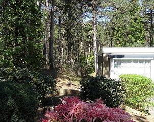 Groene paden bij Studio Arma, vakantiehuis Oost-Vlieland. Verken de natuur op de Waddeneilanden.
