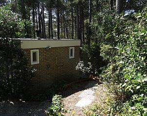 Rustig terras bij Studio Arma, vakantieverblijf Oost-Vlieland. Ontspan in de natuur op de Waddeneilanden.