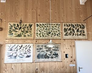 Vogelposters aan de muur in Anders Wad(t) vakantiehuis, Oost-Vlieland.