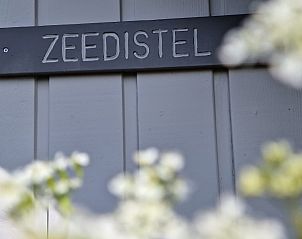 Guest house 020138 - Holiday property Terschelling - Zeedistel