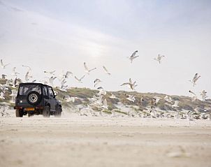 Avontuurlijke rit langs de kust nabij Loods Hotel Vlieland, vakantieappartement op Vlieland, met meeuwen.