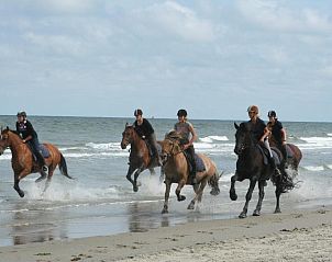 Paardrijden langs het strand op Vlieland, een avontuurlijke activiteit nabij Hotel DoniaState, vakantieappartement op de Waddeneilanden.