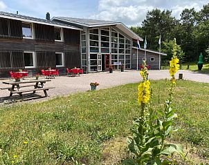 Hotel DoniaState op Vlieland, met een uitnodigend terras en kleurrijke bloemen in de rustige omgeving van de Waddeneilanden.
