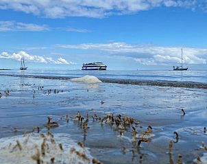 Ferry op de Waddenzee, een reisoptie naar Hotel DoniaState, vakantieappartement op het eiland Vlieland.