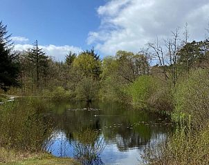 Rustige vijver in de natuur van Vlieland, een ontspannende omgeving nabij Hotel DoniaState, vakantieappartement op de Waddeneilanden.