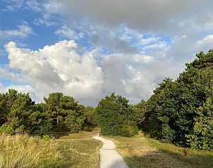 Wandelpad door het bos op Vlieland, een serene route nabij Hotel DoniaState, vakantieappartement op de Waddeneilanden.