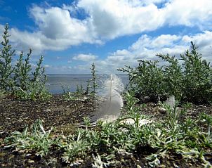Prachtige natuur rondom Hotelletje de Veerman, vakantieappartement op Vlieland, Waddeneilanden.