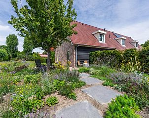 Prachtige tuin bij Villa Magnolia, vakantiehuis in Oostkapelle, Walcheren, omringd door kleurrijke bloemen.