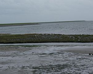 Verblijf 030373 - Chalet Terschelling - De Branding