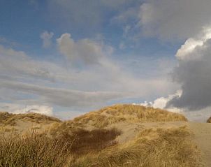 Zonsopgang door bomen bij Amelander Kaap Appartement 112, Hollum, Ameland.