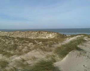 Duinlandschap met wuivend gras bij Amelander Kaap Appartement 112, Hollum, Ameland.