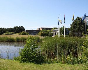 Groene omgeving rond Appartement Amelander-Kaap TIME-OUT met ZWEMBAD, Hollum, Ameland, met vijver en natuur.