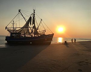 Unterkunft 030427 - Appartement Ameland - Appartement Tjerk