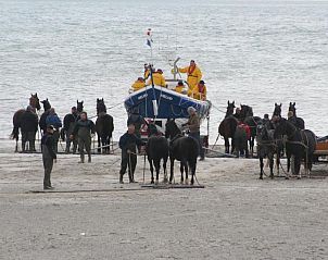 Unterkunft 030427 - Appartement Ameland - Appartement Tjerk