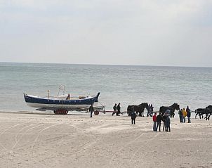 Unterkunft 030427 - Appartement Ameland - Appartement Tjerk