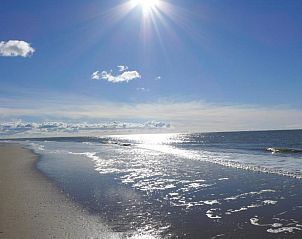 Unterkunft 030441 - Appartement Ameland - Amelander Kaap 101