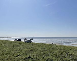 Verblijf 030443 - Chalet Terschelling - Wolkenpracht