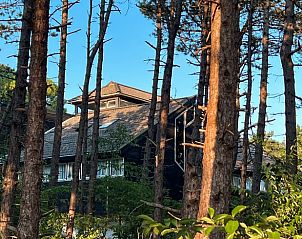 Buitenzijde van Huisje in Hoorn Terschelling, vakantiehuis omringd door dennenbomen op de Waddeneilanden.