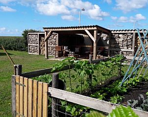 Tuin met overdekte zithoek bij Appartementenboerderij de Hek Oost, Hoorn, Terschelling.