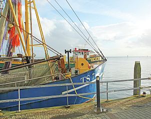 Verblijf 030904 - Vakantiewoning Terschelling - Duindroom op Terschelling