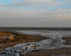 Guest house 031017 - Holiday property Terschelling - Vakantiehuis in Oosterend