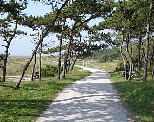 Guest house 031017 - Holiday property Terschelling - Vakantiehuis in Oosterend