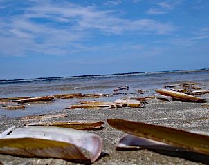 Guest house 031017 - Holiday property Terschelling - Vakantiehuis in Oosterend