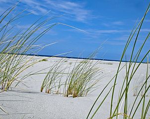 Zandduinen en gras op het strand nabij Vakantiehuis in Oosterend, Terschelling, Waddeneilanden.