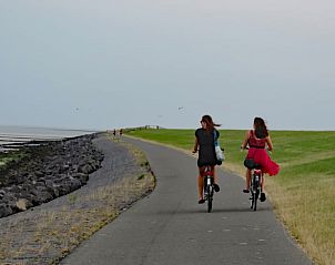 Fietspad langs de kust bij Vakantiehuis in Oosterend, Terschelling, ideaal voor fietsers.