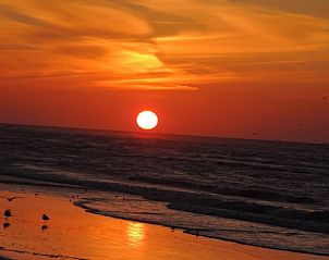 Guest house 031027 - Holiday property Terschelling - Huisje in Oosterend