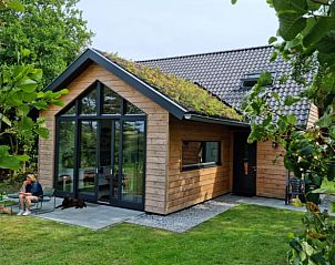 Vakantiehuisje in Midsland-noord, Terschelling met groene gevel en ruime tuin. Perfecte accommodatie voor natuurliefhebbers op de Waddeneilanden.