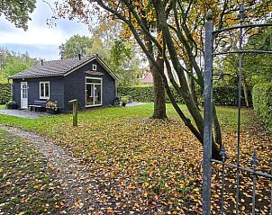Unterkunft 031513 - Ferienhaus Terschelling - Vakantiehuis in Midsland Noord