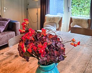 Unterkunft 031513 - Ferienhaus Terschelling - Vakantiehuis in Midsland Noord