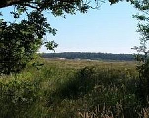 View of lush nature around chalet Hebbes in Midsland North, Terschelling. Perfect location for nature lovers on the Wadden Islands.