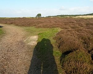 Unterkunft 031548 - Bungalow Terschelling - Glissando