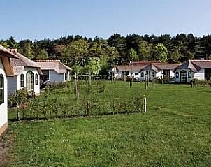 Groene omgeving van 2 pers. cottage in Midsland Noord, Terschelling, vakantiehuis in natuurrijke Waddeneilanden.
