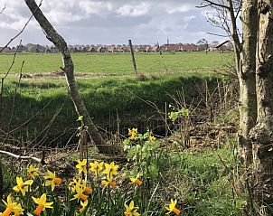 Verblijf 031573 - Chalet Terschelling - Unesco