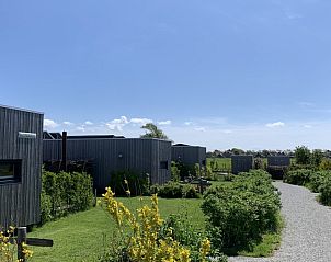 Verblijf 031582 - Vakantiewoning Terschelling - Kleine Walvis