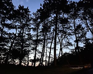 Unterkunft 031586 - Ferienhaus Terschelling - Duinhuis