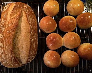 Guest house 032216 - Bed and Breakfast Zuidelijk Flevoland - B&B 't Buitenkansje