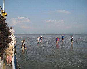 Verblijf 032601 - Bed and breakfast Het Friese platteland - B&B 'T Skoalhûs