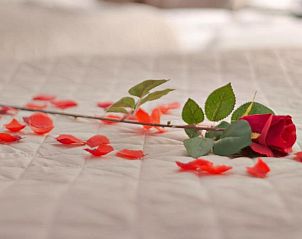 Guest house 035830 - Apartment Utrecht eo - Hotel-Chao NL