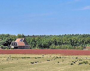 Vakantiehuis in Ballum, Ameland, omgeven door kleurrijke velden en bossen.