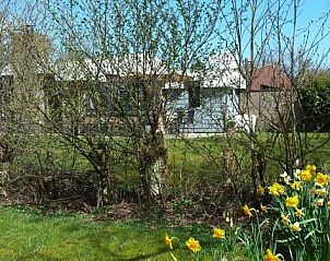 Garden of Jans bungalow in Ballum, Ameland, with blooming flowers and green surroundings.