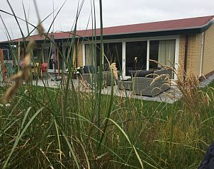 Terras van vakantiehuis Estrella in Ballum, Ameland met uitzicht op de natuurlijke omgeving van de Waddeneilanden.