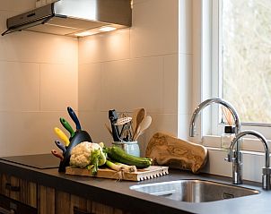 Unterkunft 0401154 - Ferienhaus Ameland - Artemis