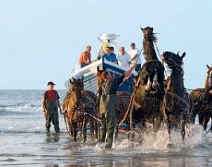 Verblijf 0401156 - Vakantiewoning Ameland - Vakantievilla 'Sieta'